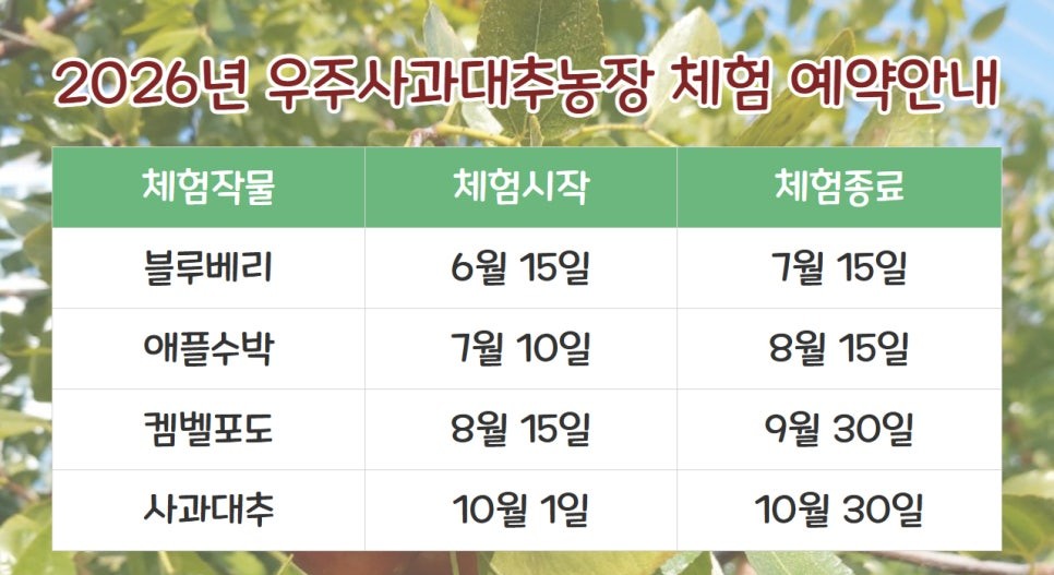 우주사과대추농장 - 이미지 9