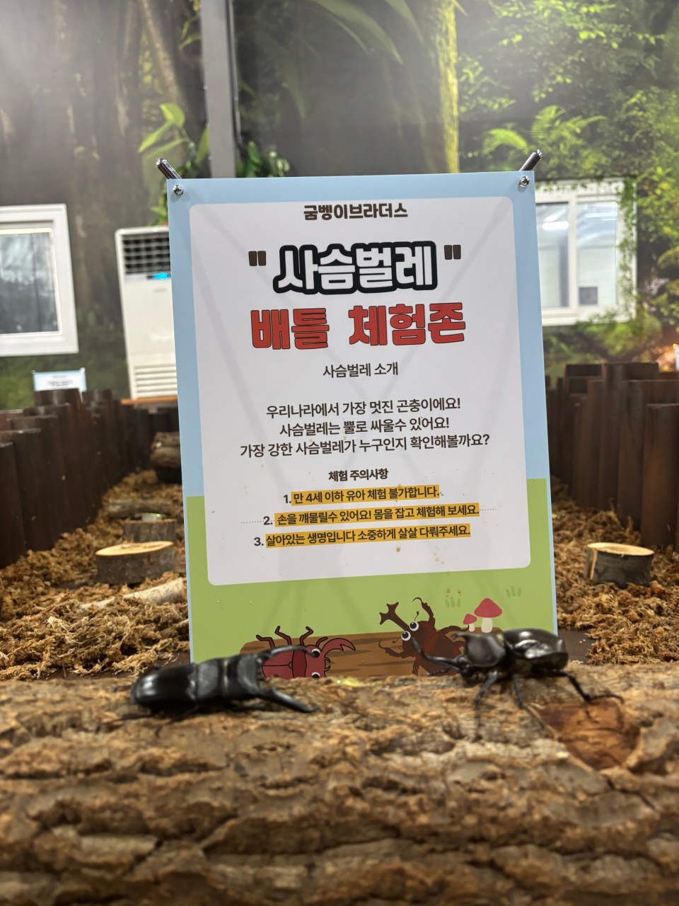 굼벵이브라더스 - 이미지 4